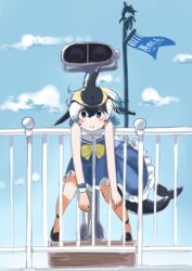  absurd_res animal_humanoid cetacean cetacean_humanoid clothed clothing common_dolphin dolphin dolphin_humanoid dress female hi_res humanoid iwafish kemono_friends malka_(kemono_friends) mammal marine marine_humanoid oceanic_dolphin short-beaked_common_dolphin solo tail toothed_whale young 