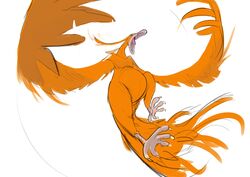  5_toes ambiguous_gender avian bandai_namco baxterchameleon birdramon blue_eyes digimon digimon_(species) feathered_wings feathers feet feral flying hi_res orange_body orange_feathers sharp_teeth solo teeth toes tongue wings 