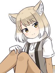  animal_ear_fluff animal_ears commentary elbow_gloves eyes_visible_through_hair female fox_ears fur_collar gloves grey_vest hand_on_own_knee head_tilt highres kemono_friends light_brown_hair looking_at_viewer multicolored_hair one-hour_drawing_challenge pantyhose shiraha_maru shirt short_sleeves simple_background sitting smile solo split_mouth tibetan_fox_(kemono_friends) twitter_username two-tone_hair vest white_background white_hair white_shirt yellow_eyes 