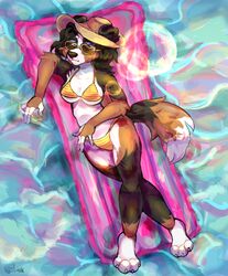  5_fingers anthro athletic bernese_mountain_dog bikini bikini_bottom bikini_top biped black_body black_ears black_fur black_hair black_nose black_tail blue_eyes bottomwear breasts brown_body brown_fur brown_tail canid canine canis claws clothed clothing colored crossed_legs detailed_background digital_media_(artwork) domestic_dog eyebrows eyewear feet female fingerless_(marking) fingers floatie floating floppy_ears front_view fur hair hat headgear headwear hi_res hindpaw inflatable lens_flare looking_at_viewer lying mammal medium_breasts molosser mountain_dog multicolored_body multicolored_fur multicolored_tail outside paws pool_float shaded skimpy snout solo sunglasses swimwear swiss_mountain_dog tail timauwu topwear triangle_bikini water waterscape wave white_body white_eyebrows white_fur white_tail winter_nights yellow_bikini yellow_clothing yellow_swimwear yellow_topwear 