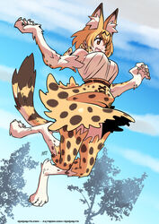  :d animal_ear_fluff animal_ears animal_hands bare_shoulders belt blonde_hair blue_sky bow bowtie claws commentary day english_commentary extra_ears female full_body fur high-waist_skirt highres jumping kemono_friends kukuruyo looking_away monster_girl monsterification oerba_yun_fang open_mouth orange_bow orange_bowtie orange_eyes outdoors print_bow print_bowtie print_skirt print_thighhighs serval_(kemono_friends) serval_print shirt short_hair signature skirt sky smile solo tail thighhighs tree watermark web_address white_shirt 