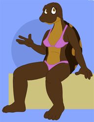  bikini brown_body brown_eyes brown_skin clothing female reptile scalie shell sitting solo swimwear tabbiewolf turtle turtle_shell 