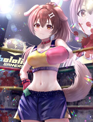  animal_ears bare_shoulders blood blood_splatter bone_hair_ornament boxing_gloves boxing_ring breasts brown_eyes brown_hair character_name cleavage closed_mouth collar cowboy_shot crowd dog_ears dog_girl dog_tail faceless faceless_female faceless_male female foreshortening hair_ornament hand_on_own_hip high_ponytail highres hololive inugami_korone lens_flare long_hair looking_at_viewer medium_breasts midriff navel official_alternate_costume short_shorts shorts solo_focus sparkle sports_bra tail virtual_youtuber wajuniorbox yellow_sports_bra 