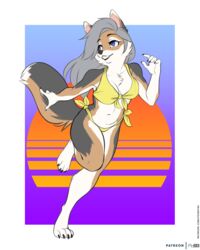  4:5 anthro bikini bikini_bottom bikini_top breasts brown_body brown_fur canid canine canis cheek_tuft chest_tuft cleavage clothed clothing colored digital_media_(artwork) dipstick_tail facial_tuft female flat_colors foxboy83 full-length_portrait fur grey_body grey_fur grey_hair hair hi_res jackal long_hair mammal markings midriff navel portrait purple_eyes running simple_background solo swimwear tail tail_markings tuft white_body white_fur yellow_bikini yellow_clothing yellow_swimwear 