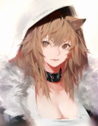  animal_ears arknights black_collar breasts brown_eyes brown_hair cleavage closed_mouth collar commentary_request copyright_name female fur-trimmed_jacket fur_trim highres hood hood_up jacket lion_ears lion_girl long_hair looking_at_viewer shirt siege_(arknights) simple_background sola7764 solo upper_body white_background white_hood white_shirt 