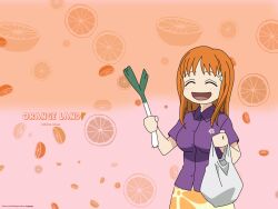  bleach inoue_orihime leek orange tagme 