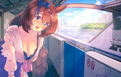  animal_ears black_bra blue_bow blue_eyes blue_sky blush bow bowtie bra bra_slip braid breasts brown_hair cleavage cloud commentary_request cowboy_shot day female hair_between_eyes hairbow highres horse_ears horse_girl horse_tail lace lace_bra large_breasts long_hair looking_at_viewer open_mouth outdoors pink_bow pink_bowtie purple_skirt reihou19 shirt skirt sky smile solo super_creek_(umamusume) tail twitter_username umamusume underwear very_long_hair white_shirt 