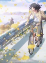  amagami anime_screenshot bicycle black_hair female ginkgo_leaf guard_rail highres leaf outdoors photoshop_(medium) riding road smile solo stitched tanamachi_kaoru third-party_edit traffic_barrier wavy_hair 