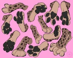  4_toes ambiguous_gender anthro black_pawpads brown_body brown_fur carifoxleopard entwined_toes feet felid feline foot_focus foot_shot fur hi_res hindpaw lynx mammal markings pawpads paws pink_background simple_background solo spots spotted_body spotted_feet spotted_fur spotted_markings spread_toes toes 