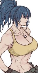  abs bare_shoulders blue_eyes blue_hair breasts cargo_pants crop_top dog_tags earrings female jewelry leona_heidern midriff muscular muscular_female pants ponytail simple_background sleeveless soldier solo tank_top the_king_of_fighters the_king_of_fighters_xv triangle_earrings white_background yasunososaku yellow_tank_top 