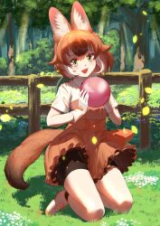  animal_ears ball bike_shorts_under_skirt blush brown_hair chicha_(chi_cha_rigbo) dhole_(kemono_friends) dog_ears dog_girl dog_tail extra_ears fangs female forest gloves highres holding holding_ball kemono_friends kemono_friends_3 kneeling looking_at_viewer multicolored_hair nature open_mouth shirt short_hair skirt smile solo tail two-tone_hair white_hair 