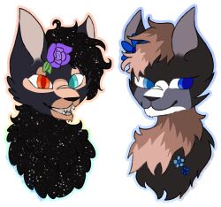  anthro blue_eyes bust_portrait caloxya domestic_cat duo felid feline felis female flower_(anatomy) fluffy fluffy_chest hair heterochromia hi_res mammal natural_fur_color portrait red_eyes sibling_(lore) sister_(lore) sisters_(lore) sparkles sparkling_hair teal_eyes 