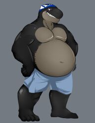  2015 anthro bandana belly blake_(wildside) bottomwear clothing kerchief leopard_seal male mammal marine muscular pinniped seal shirtless shorts solo wildside 