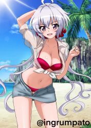  absurdres ahoge beach bikini blue_skirt blush breasts cleavage female highres kyomeihibiki large_breasts long_hair looking_at_viewer miniskirt navel ocean open_clothes open_mouth open_skirt palm_tree purple_eyes red_bikini see-through senki_zesshou_symphogear shirt skirt sky smile solo swimsuit tree twintails white_hair white_shirt yukine_chris 