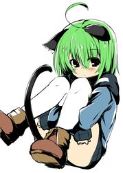  animal_ears blush cat_ears cat_tail commentary_request dodome-iro_mayonnaise female green_hair hugging_own_legs looking_at_viewer original sharon_(dodomayo) short_hair simple_background solo tail white_background 