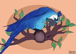  absurd_res avian belly bird blue_sky blue_sky_studios branch confusion feathered_wings feathers female feral hi_res jewel_(rio) kick leaf macaw neotropical_parrot parrot plant pregnant pregnant_female rio_(series) sky solo spix&#039;s_macaw tree true_parrot wings xenopony456 