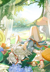  1boy aged_down animal animal_ears arms_up bare_legs barefoot bird blue_kimono bottle bracelet butterfly_net cake closed_mouth curtains cyotsy dappled_sunlight day drink food from_above fruit full_body grass hair_between_eyes hand_net highres honkai:_star_rail honkai_(series) japanese_clothes jewelry jing_yuan kimono knees_up lolicon long_sleeves looking_at_viewer lying male_focus mole mole_under_eye on_back outdoors picnic pillow plate ponytail sash short_sleeves shorts smile sunlight swim_ring tail tree watermelon watermelon_slice white_hair yellow_eyes 