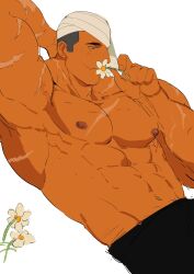  1boy abs bandage_over_one_eye bara cowboy_shot dark-skinned_male dark_skin flower gomihebi highres holding holding_flower large_pectorals lying male_focus mature_male multiple_scars muscular muscular_male navel nipples oerba_yun_fang on_back original pants pectorals scar short_hair skin_fang smelling_flower solo stomach thick_eyebrows topless_male white_background 