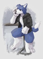  2024 anthro biped black_clothing black_eyes black_jacket black_topwear blue_body blue_fur canid canine canis clothing countershade_fur countershading floppy_ears fur head_on_hand hi_res jacket jacket_only looking_away male mammal slim_anthro slim_male solo tobenaibuka topwear white_body white_countershading white_fur wolf 