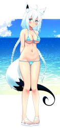  absurdres animal_ears aqua_eyes bikini blue_bikini blue_sky blush breasts closed_mouth cloud cloudy_sky collarbone commentary_request day female fox_ears fox_girl fox_tail full_body highres hololive horizon letterboxed looking_at_viewer medium_breasts micro_bikini navel ocean outdoors shirakami_fubuki sky solo standing stomach swimsuit tail virtual_youtuber white_footwear white_hair zabudog777 