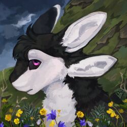  1:1 2024 4_ears ambiguous_gender anthro avali avian bird black_body black_feathers black_fur black_sclera blue_flower calm cloud cloudy_sky colored detailed_background digital_media_(artwork) emotionless feathers flower fur fyr_(fenrir784) grass grassland hair headshot_portrait hi_res lineless looking_at_viewer mountain multi_ear nature nature_background nude outside plant portrait purple_eyes shaded sky solo sorok265 tuft white_body white_feathers white_fur yellow_flower 