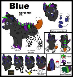  2012 aliasing ambiguous_gender black_body black_border black_collar black_fur black_text blue_(sebdoggo) blue_eyes blue_inner_ear blue_nose blue_tongue border brown_body brown_fur canid canine canis character_name checkered checkered_clothing checkered_scarf clothing collar digital_drawing_(artwork) digital_media_(artwork) digitigrade domestic_dog english_text eyebrows feral fingerless_gloves flat_colors fur gloves green_body green_fur grey_body grey_fur grey_sclera handwear herding_dog inner_ear_fluff kerchief mammal microsoft_paint_(artwork) mixed_breed model_sheet neckerchief nintendo number number_markings one_ear_up pastoral_dog pattern_clothing pattern_kerchief pattern_neckerchief pattern_scarf paws plaid_kerchief plaid_neckerchief pokeball pokemon purple_body purple_fur raised_tail red_collar scarf sebdoggo simple_background smile snout solo sparklefur standing stated_adult stated_age tail text tongue tongue_out tuft welsh_corgi white_background white_body white_fur 