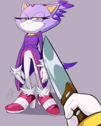  2017 4:5 anthro avoid_posting blaze_the_cat breasts disembodied_hand domestic_cat duo felid feline felis female forehead_gem fur gem grey_background huwon knife knife_cat mammal meme narrowed_eyes parody purple_body purple_fur sega shadow_the_hedgehog simple_background smile smug solo_focus sonic_the_hedgehog_(series) squint yellow_eyes 