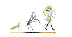  antennae arrow_(symbol) arthropod_girl black_legwear cardigan cardigan_around_waist clothes_around_waist commentary_request evolution evolvingmonkey extra_eyes female green_hair highres human_evolution_stages kneehighs mantis_akiyama mantis_girl original parasite praying_mantis school_uniform socks translated walking white_background worm 