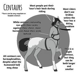  black_and_white bondage bridle centaur english_text equid equid_taur equine equine_taur european_mythology gag gagged greek_mythology hair hair_bun harness herm_(lore) hooves horse horse_taur human_torso humanoid_taur leash leg_markings male mammal mammal_taur markings monochrome mythology petplay ponyplay puppetmaster13uwu reference_guide riding_harness roleplay snowcap_(marking) socks_(marking) solo tail taur text 