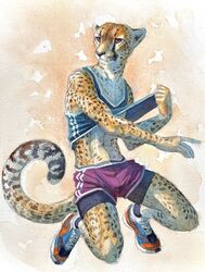  2022 anthro athletic athletic_wear bottomwear cheetah clothing clothing_pull felid feline footwear gym_bottomwear gym_shorts hi_res kneeling luikatje male mammal painting_(artwork) plantigrade shirt shirt_pull shoes shorts sneakers solo tank_top topwear topwear_pull traditional_media_(artwork) watercolor_(artwork) 