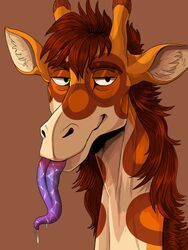  3:4 absurd_res animal_print anthro bodily_fluids brown_background brown_hair brown_markings closed_smile giraffe giraffe_print giraffid hair hi_res horn imperatorcaesar long_neck long_tongue looking_at_viewer male mammal markings mouth_closed narrowed_eyes orange_markings ossicone purple_tongue saliva saliva_on_tongue simple_background smile solo tan_body tongue tongue_out 