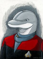  2016 adleisio anthro blue_eyes cetacean clothed clothing dolphin half-length_portrait hi_res mammal marine oceanic_dolphin portrait solo star_trek star_trek_the_next_generation tng_(copy) toothed_whale trun uniform 