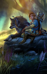  1boy arrow_(projectile) axe blonde_hair blue_eyes bow_(weapon) champion&#039;s_tunic_(zelda) commentary_request dual_persona facial_mark forehead_mark grass highres link malin_falch photoshop_(medium) pointy_ears quiver rock scabbard scar sheath shield shield_on_back sitting sword the_legend_of_zelda the_legend_of_zelda:_breath_of_the_wild the_legend_of_zelda:_twilight_princess time_paradox weapon wolf wolf_link 