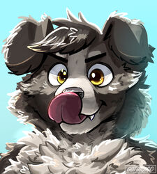  anthro barb_(artist) blue_background border_collie canid canine canis collie domestic_dog floppy_ears fluffy fur grey_body grey_fur herding_dog hi_res male mammal pastoral_dog reaction_image sheepdog simple_background solo tongue tongue_out yellow_eyes 