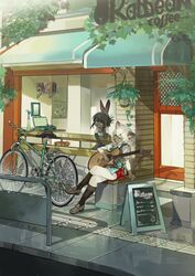  absurd_res acoustic_guitar anthro apron bicycle black_body black_clothing black_footwear black_fur black_hair black_socks blue_eyes body_fur bottomwear building cafe canopy clothing countertop crossed_legs detailed_background dialogue domestic_cat duo felid feline felis female female_focus footwear fur guitar hair hanging_plant hi_res kemono lagomorph leporid loafers magiace mammal musical_instrument outside plucked_string_instrument purple_eyes rabbit ranta_(magiace) record_player red_bottomwear red_clothing red_skirt scenery_porn shirt shoes short_hair short_sleeves siamese siamu_(magiace) sidewalk sign signboard sitting skirt socks street string_instrument topwear urban vase vehicle white_body white_fur white_hair 