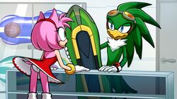  16:9 accipitrid accipitriform amy_rose anthro avian beak bird board clothed clothing duo eulipotyphlan female hedgehog hi_res jet_the_hawk kitsune2000 male mammal panties sega sonic_riders sonic_the_hedgehog_(series) store underwear upskirt widescreen 