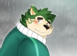  anthro blush bodily_fluids canid canine canis crying domestic_dog eyebrows fur green_body green_fur hi_res jinastray lifewonders live_a_hero male mammal mokdai raining solo tears thick_eyebrows 