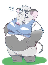  2023 alternate_species anthro belly big_belly black_body blush bottomwear clothing elephant elephantid eyewear glasses hi_res inunoshippo kemono male mammal navel overweight overweight_male proboscidean sasayama_akira shirt shorts simple_background solo topwear vtuber white_body 