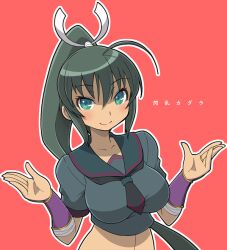  aqua_eyes black_hair blush breasts female haganemaru_kennosuke homura_(senran_kagura) large_breasts long_hair navel necktie ponytail school_uniform senran_kagura senran_kagura_(series) serafuku solo 