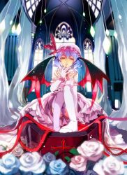  alternate_costume bat_wings blue_hair coffin commentary_request dress elbow_gloves feet female finger_to_mouth flower foreshortening gloves hakoiri_nekohime hands hat looking_at_viewer red_eyes remilia_scarlet rose short_hair sitting solo thighhighs touhou transparent_wings white_gloves white_thighhighs wings 