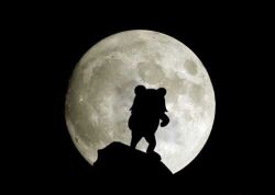  moon pedobear sillhouette tagme 