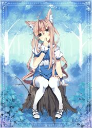  ahoge animal_ears bad_id bad_pixiv_id blue_eyes brown_hair female finger_to_mouth head_tilt koba long_hair original photoshop_(medium) sitting sitting_on_tree_stump solo thighhighs tree_stump white_thighhighs wrist_cuffs 