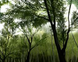  bad_id bad_pixiv_id bamboo bamboo_forest forest green_theme leaf monochrome nature no_humans no_lineart original outdoors scenery silhouette sofy tree 