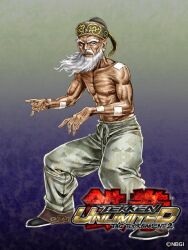  1boy abs bandaid beard dark-skinned_male dark_skin facial_hair fighting_stance hat male_focus muscular muscular_male official_art old old_man solo tekken tekken_tag_tournament_2 thick_eyebrows topless_male wang_jinrei white_hair yamashita_shun&#039;ya 