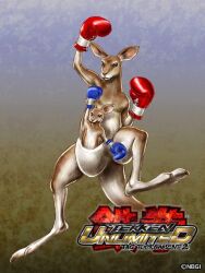  boxing_gloves kangaroo mother_and_son no_humans official_art roger&#039;s_wife_(tekken) roger_jr. solo tekken tekken_tag_tournament_2 yamashita_shun&#039;ya 