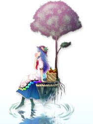  apple bad_id bad_pixiv_id banana basket blue_hair eating female food fruit grapes hat hinanawi_tenshi keystone leaf long_hair pandora-ex peach pineapple plant_roots puffy_sleeves red_eyes ripples rock short_sleeves sitting solo touhou tree water 