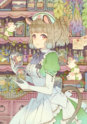  animal_ears apron ascot blue_ascot book bottle commentary_request cowboy_shot dress duster elbow_gloves feather_duster female frilled_apron frills from_side gloves gown green_apron green_dress grey_hair half_updo hat herb_bundle highres holding holding_jar jar kuroyuki light_smile looking_at_viewer mouse_(animal) mouse_ears mouse_tail name_tag nurse_cap original pharmacy pinafore_dress plant ponytail puffy_sleeves purple_eyes shelf sleeveless sleeveless_dress smile solo tail vines waist_apron white_apron white_gloves 