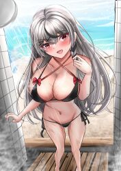  absurdres akizuki_momiji beach bikini black_bikini black_hair blue_sky blush braid breasts cleavage criss-cross_halter double_bikini female grey_hair hair_ornament hairpin halterneck highres hololive large_breasts long_hair looking_at_viewer multicolored_hair red_bikini red_eyes sakamata_chloe san_(mononoke_hime) side-tie_bikini_bottom single_braid sky solo streaked_hair swimsuit virtual_youtuber x_hair_ornament 