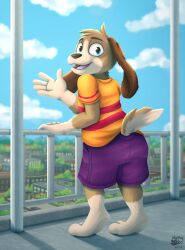  beagle bottomwear building canid canine canis city clothing detailed_background domestic_dog fur gesture hi_res hunting_dog looking_at_viewer mammal nutty_bo open_mouth outside public scent_hound shirt shorts smile tail topwear waving waving_at_viewer 