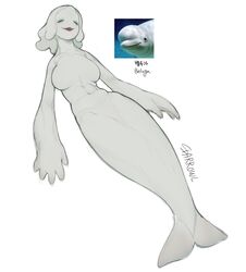  artist_name beluga_whale breasts closed_eyes colored_skin female fins full_body highres monster_girl open_mouth original personification photo_inset reference_inset short_hair simple_background solo sparrowl white_background white_hair white_skin 